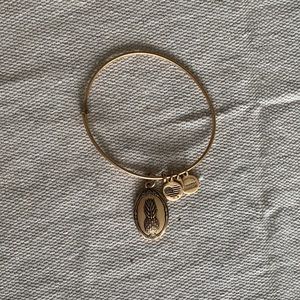 Pineapple Alex and ani